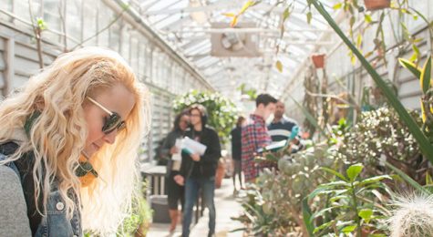 CALS faculty receive two grants from USDA