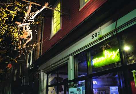 <p>Spotlight on The Monkey House </p>