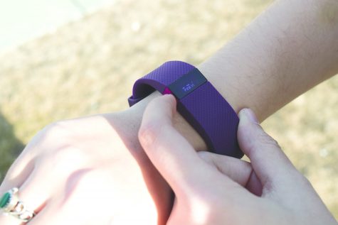 Is the FitBit a good fit for you?