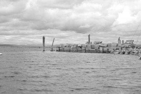 Lower water levels change lake’s ecosystem