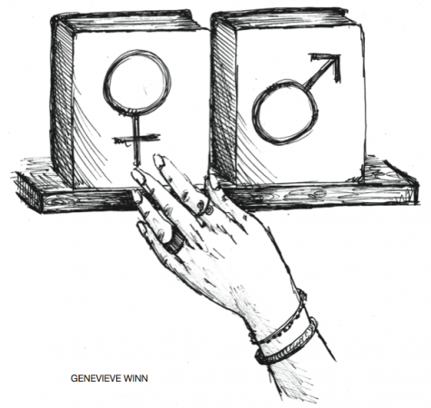 Gender dynamic affects academic pursuits