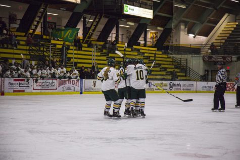 Women’s hockey prepares for a new season