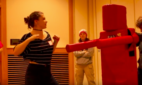 Rape Aggression Defense Training