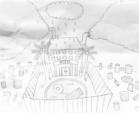 How the hotel industry can hurt developing countries