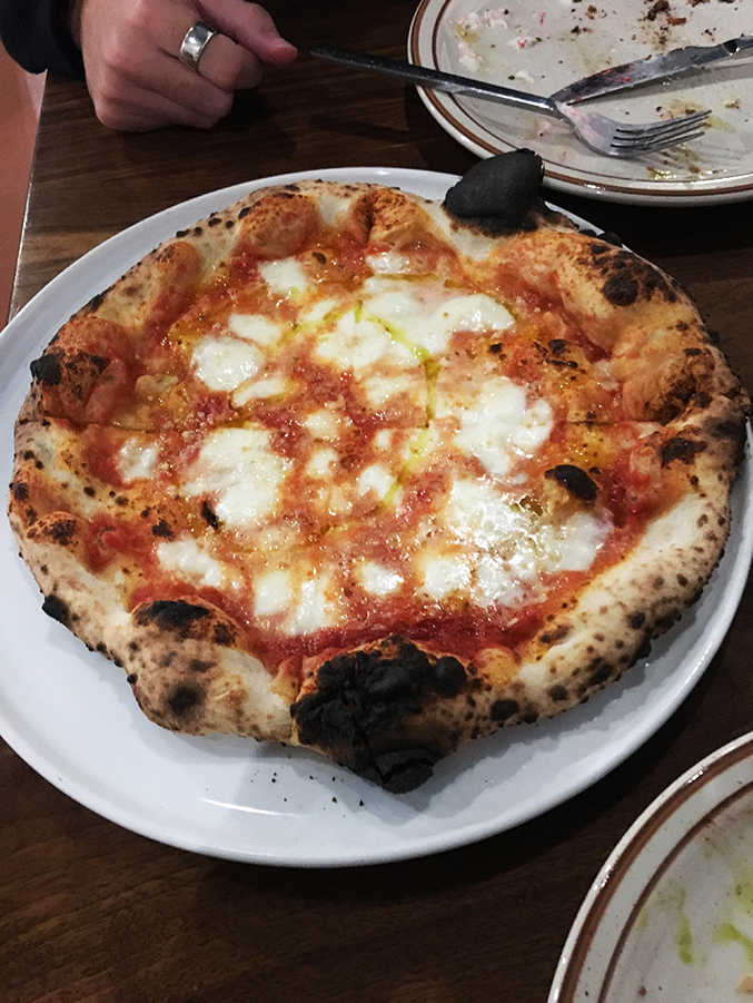 New North End spot serves up authentic pizza – The Vermont Cynic