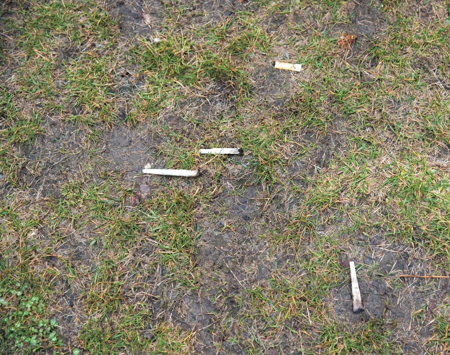Used joints lie in the grass outside Simpson Hall shortly after 4:20 p.m. as students moved inside to avoid being written up by UVM police services. 