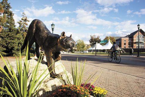 UVM measured against peer colleges