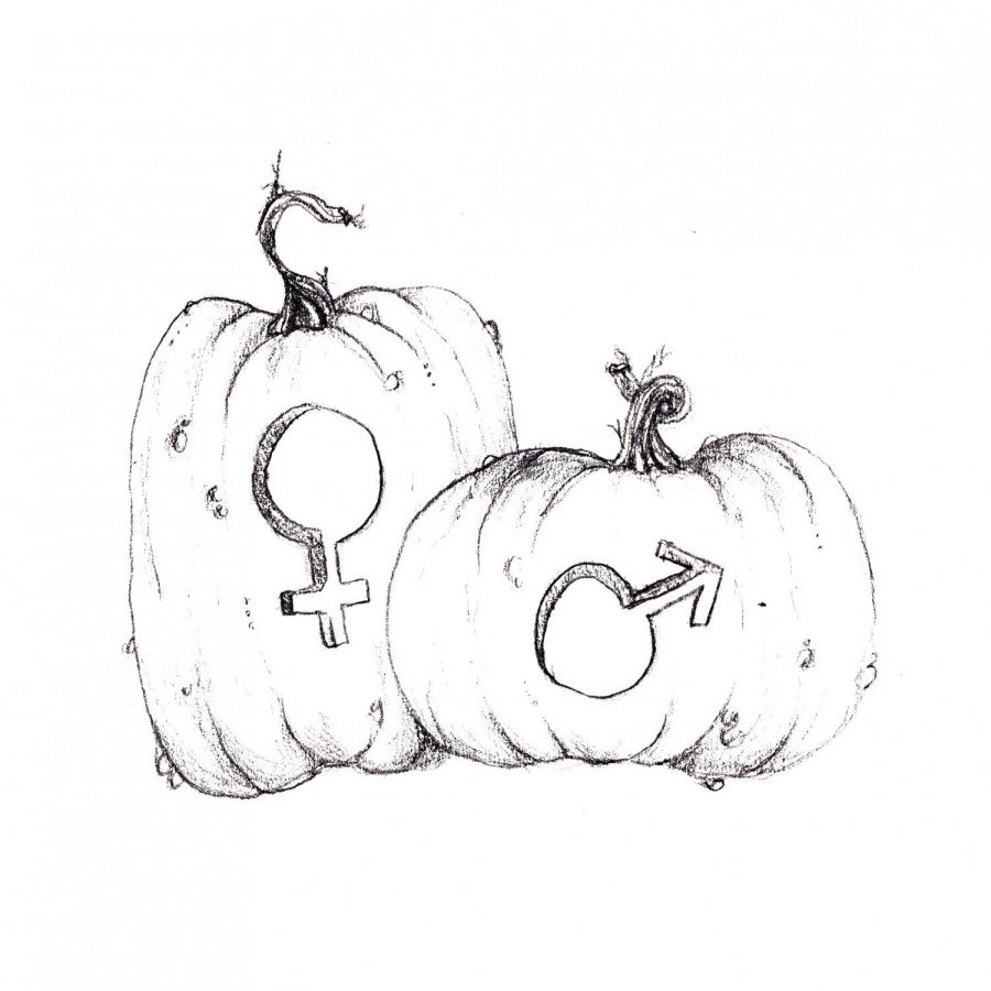The+spookiest+costume+is+gender+roles