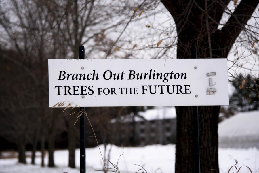  The Branch Out Burlington! sign stands in front of a backdrop of trees on the UVM Horticulture farm, Nov. 15. The organization grows and plants trees throughout Burlington.
