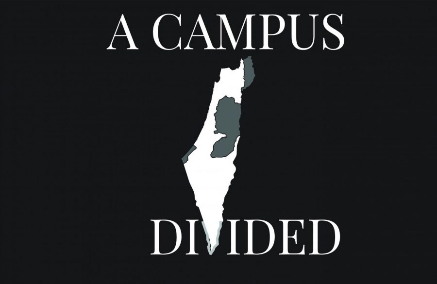 A campus divided: students split over free trip to Israel and Palestinian territories