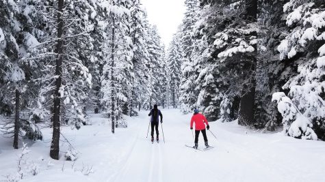 Why skiing uphill isn’t for the faint of heart