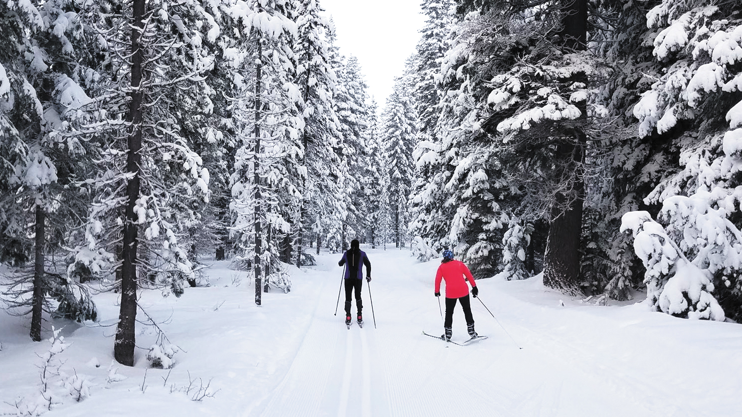 why-skiing-uphill-isn-t-for-the-faint-of-heart-the-vermont-cynic