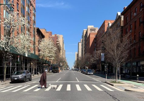 COVID-19 Dispatch Part 1: As New York City hospitals fill up, medical masks run out
