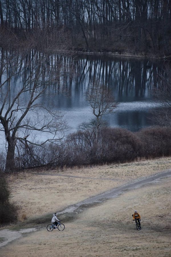Cynic photographer Kayla Gray took photos during a walk March 12 in Caumsett State Park on Long Island, NY. 