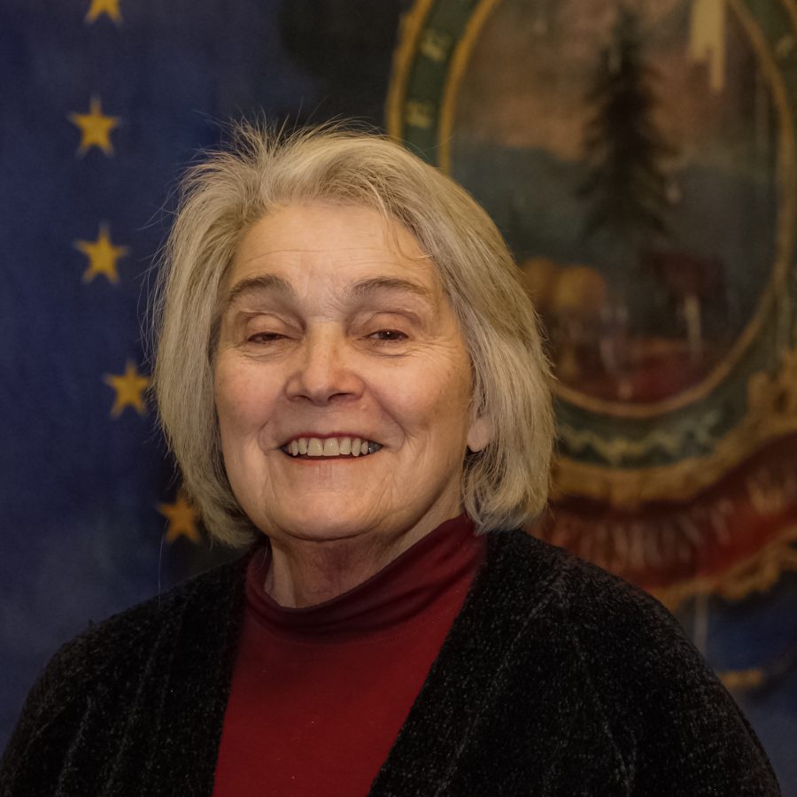 Virginia Ginny Lyons is up for reelection in the democratic primary Tuesday, Aug. 11. She has served as a democrat representing Chittenden County since 2000.