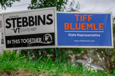Stebbins' and Bluemle's campaign signs sit next to each other on Locust Terrace, a street they both live on. Aug 3.