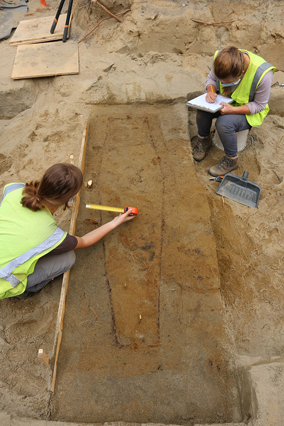 Seven skeletons found under Burlington home