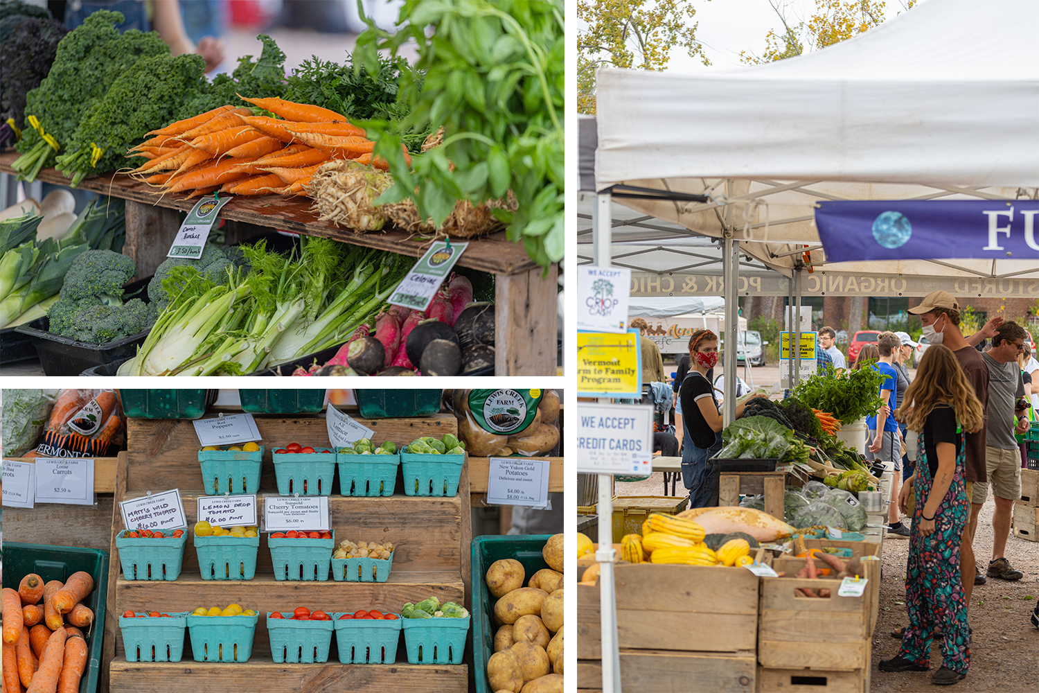 Vienna Farmers Market to Move Down the Road, news/fairfax