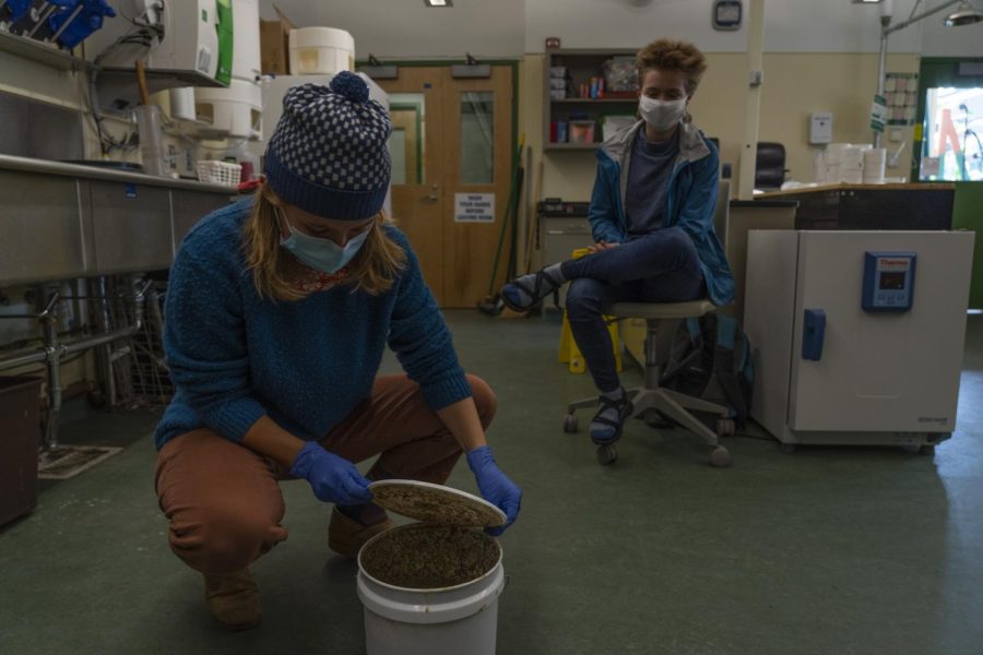Two graduate students work in a lab where they research uses of biogas produced from food waste through anaerobic digestion.