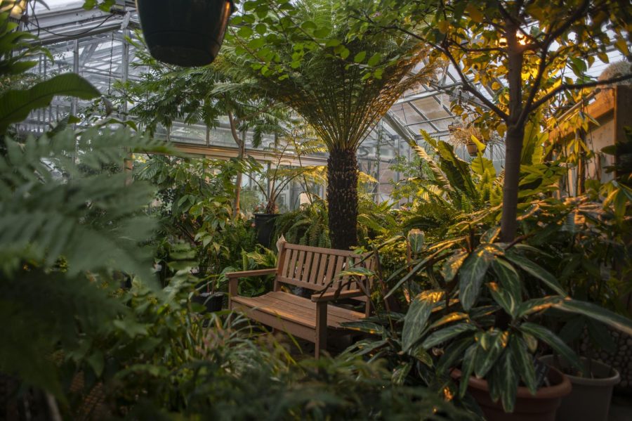 The+UVM+Greenhouses+have+a+few+benches+available+for+students+to+escape+the+cold+air+and+study+among+plants.+The+Greenhouse+is+open+Monday-Friday+from+9+a.m.+to+4+p.m.