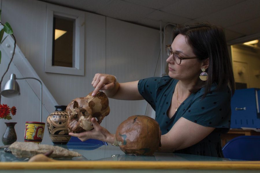 Burg examines a replica skull of Australopithecus Robustus.