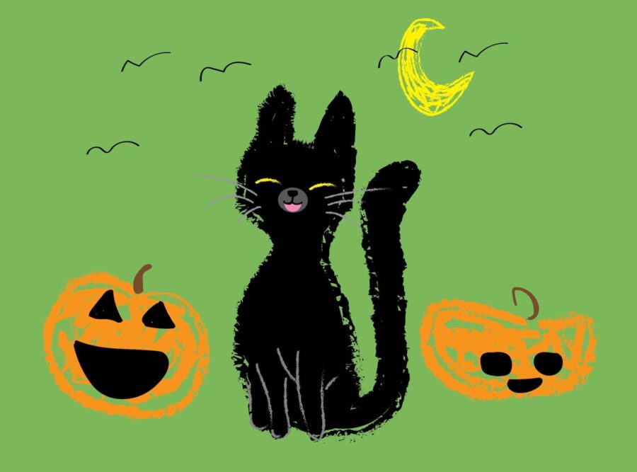 On black cats: Leave the superstitions in the past