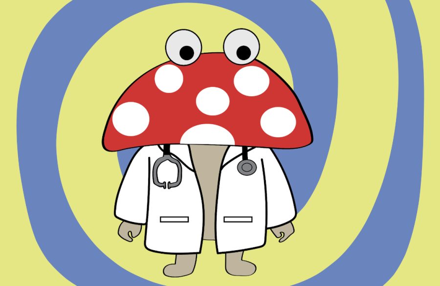 Everything your parents don’t tell you about magic mushrooms