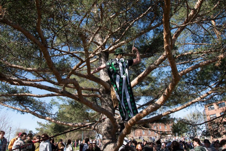 Junior “Captain MARY-J” climbs a tree to display their 4/20 themed look to the crowd.