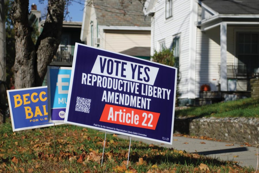 First-year Grace Argiriou took this detail shot for a feature on the Reproductive Liberty Amendment.