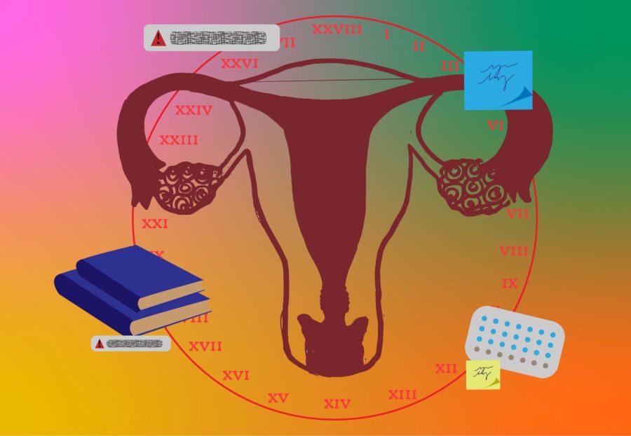 Menstrual Cycle - Martha Hrdy