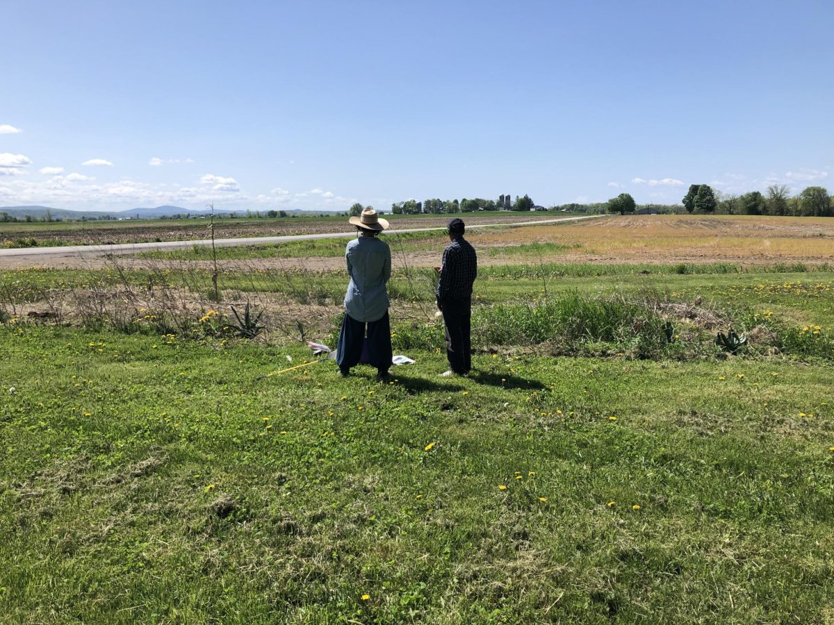 The Huertas Project promotes food sovereignty in migrant farmer groups. 