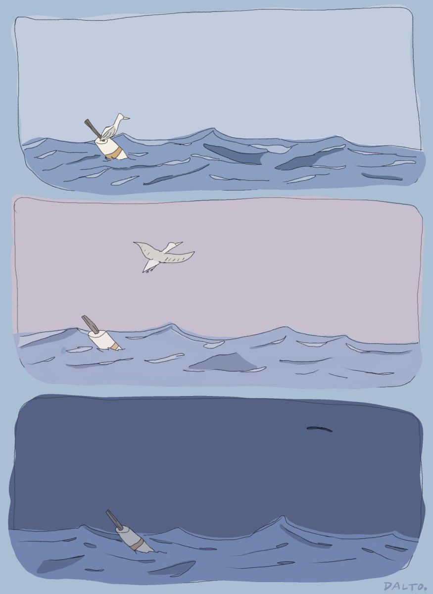 Mollys comic featuring a seagulls travels through time.