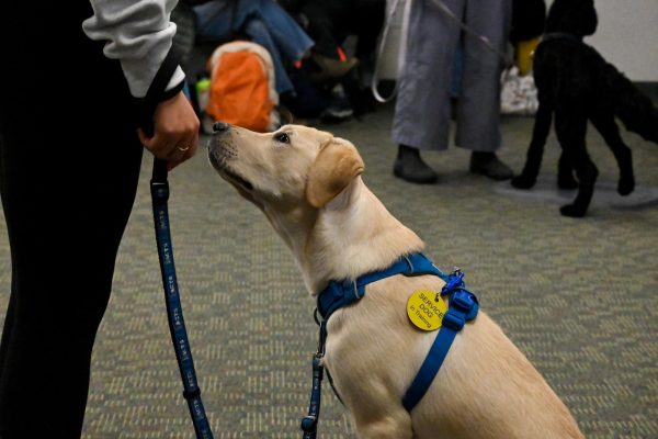 UPRAWR hosts events in Living Well on Fridays for students to interact with a service dog in-training Oct. 15.