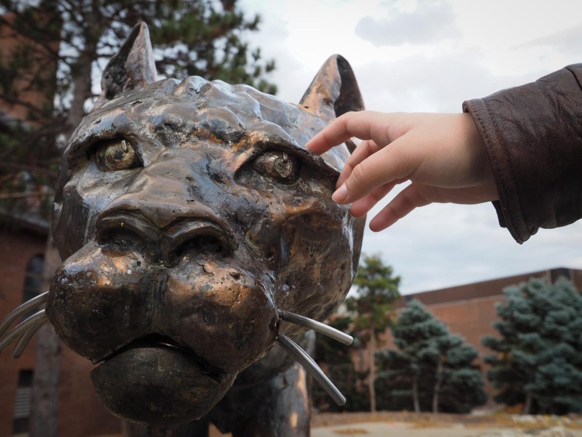 Photo Illustration: A student touches the Catamount statue Oct. 27. 