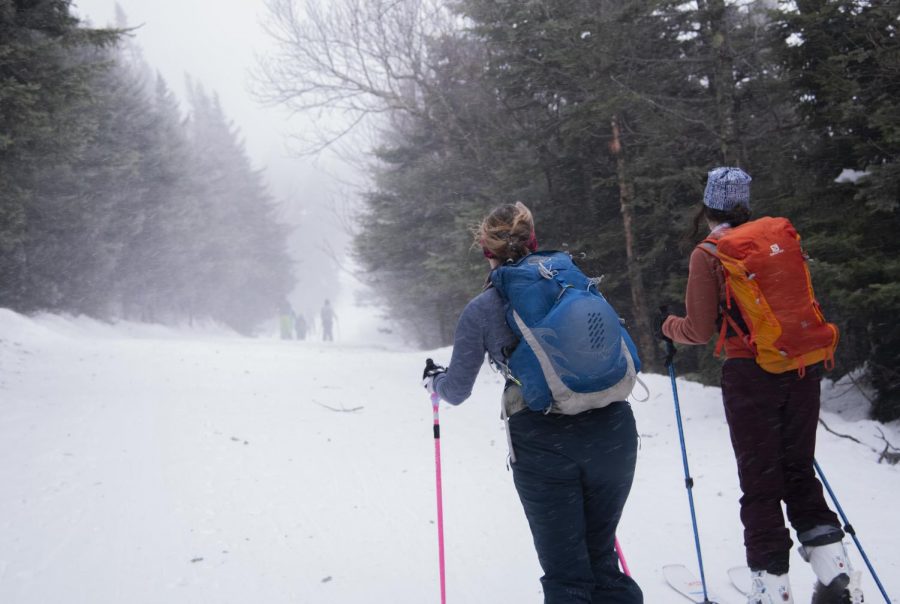 Skiers on a Chicks on Sticks trip in March of 2020.