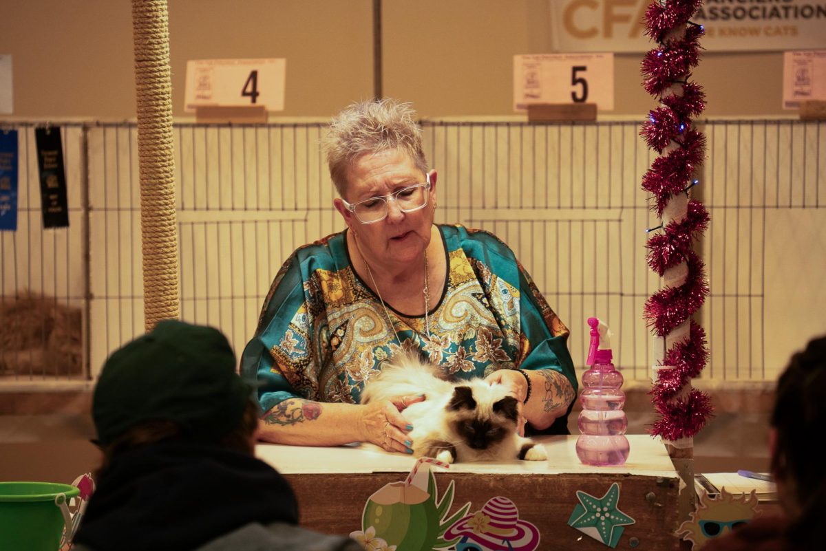 Cat is presented during the show Jan. 18.