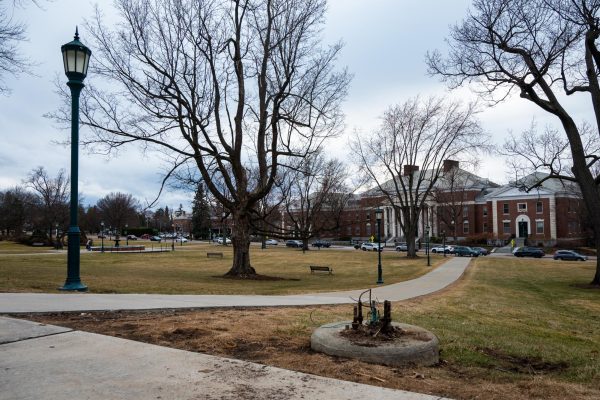 Blue Light removed from the Waterman green March 25.