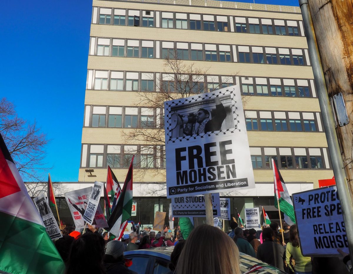 Signs read "Free Mohsen".