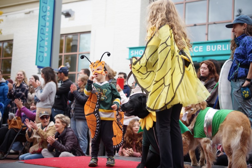 Willa, JB, and Fella as pollinators and a flower