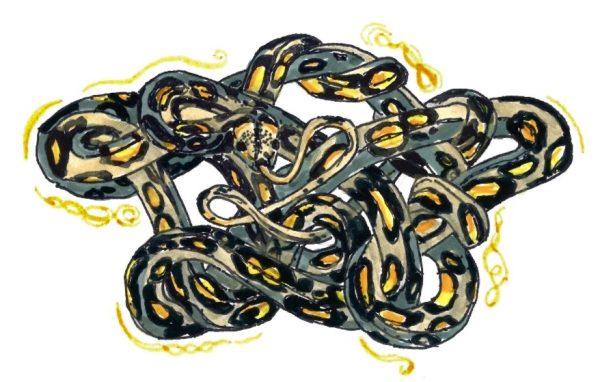 Cynic Illustrations presents: UVM Poetry Club collaboration